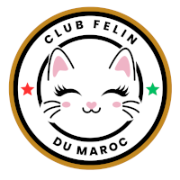 Club Félin du Maroc